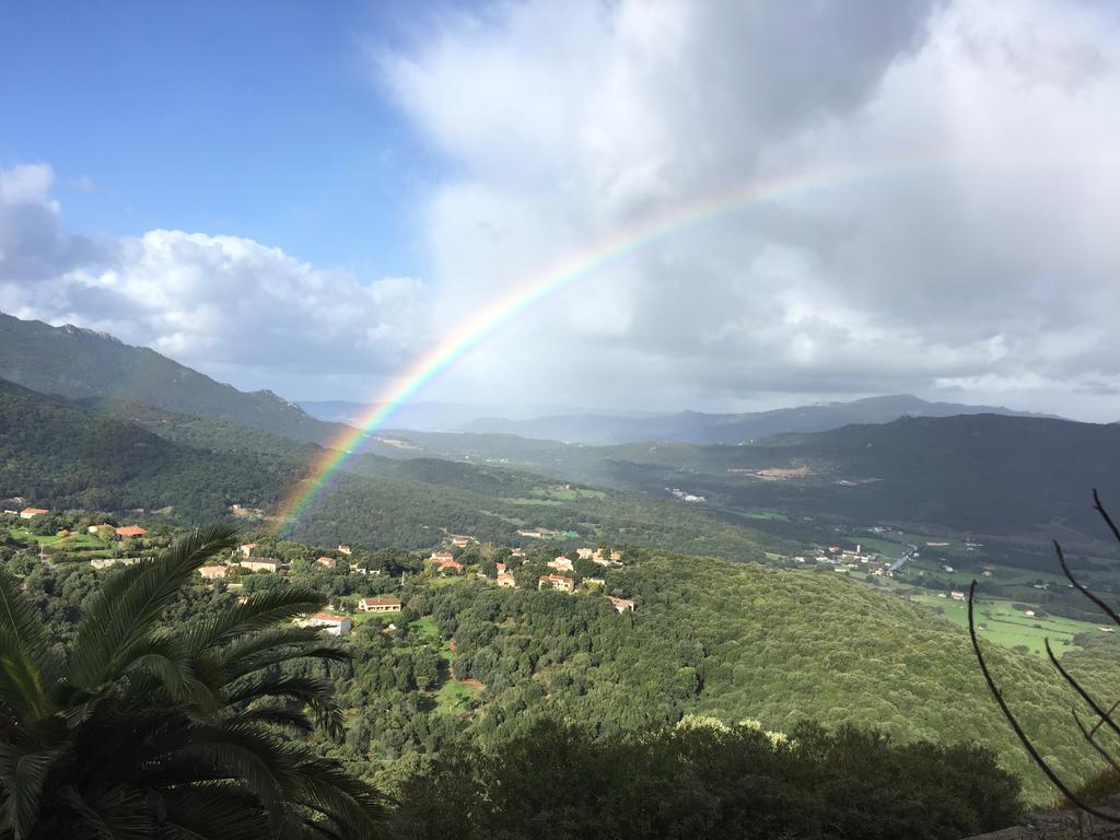 Hotel Des Roches サルテーヌ エクステリア 写真